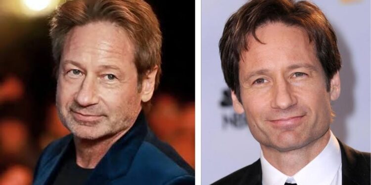 10 Incredible Reasons Why David Duchovny Continues to Shine on Screen and Captivate Global Audiences