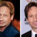 10 Incredible Reasons Why David Duchovny Continues to Shine on Screen and Captivate Global Audiences