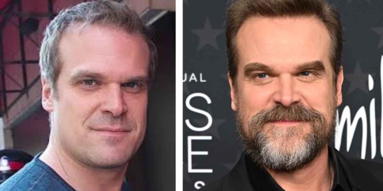 Tracing the Remarkable Hollywood Career and Iconic Evolution of David Harbour