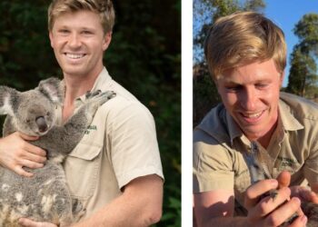10 Essential Facts About Robert Irwin: His Wildlife Conservation Legacy and Media Career
