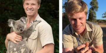 10 Essential Facts About Robert Irwin: His Wildlife Conservation Legacy and Media Career